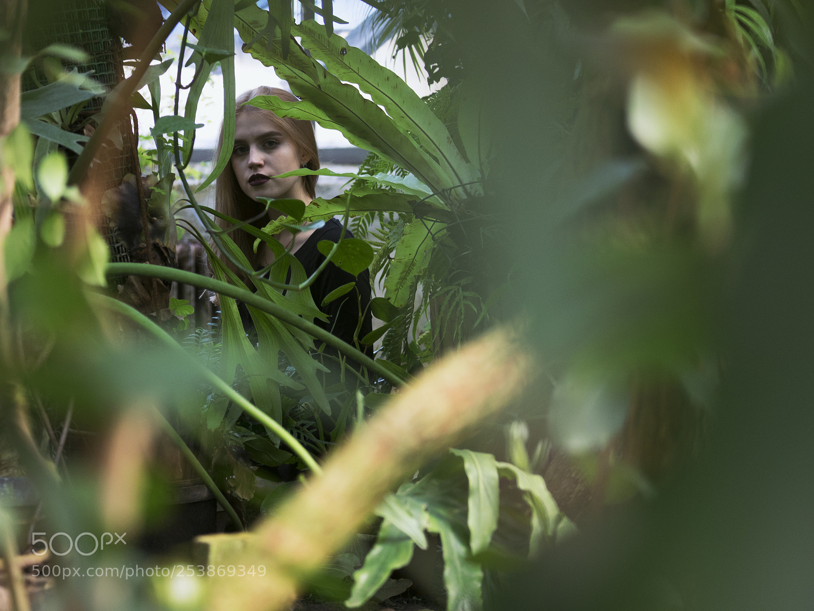 Olympus OM-D E-M1 sample photo. Into the jungle photography