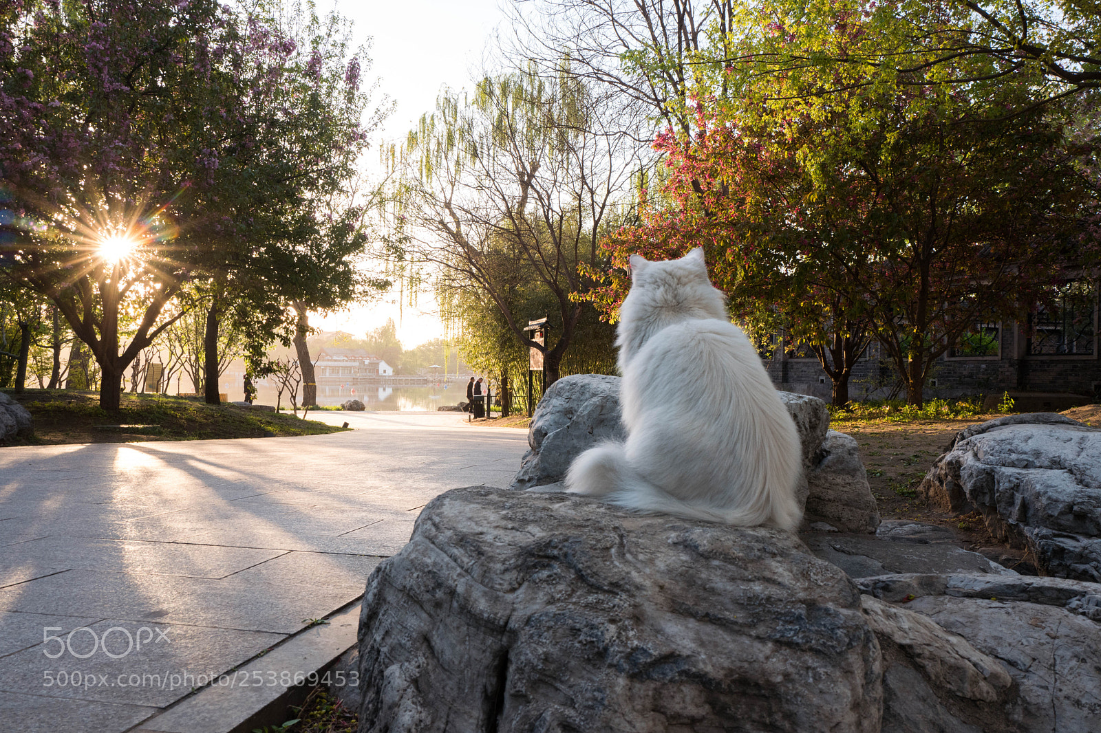 Leica Q (Typ 116) sample photo. L photography