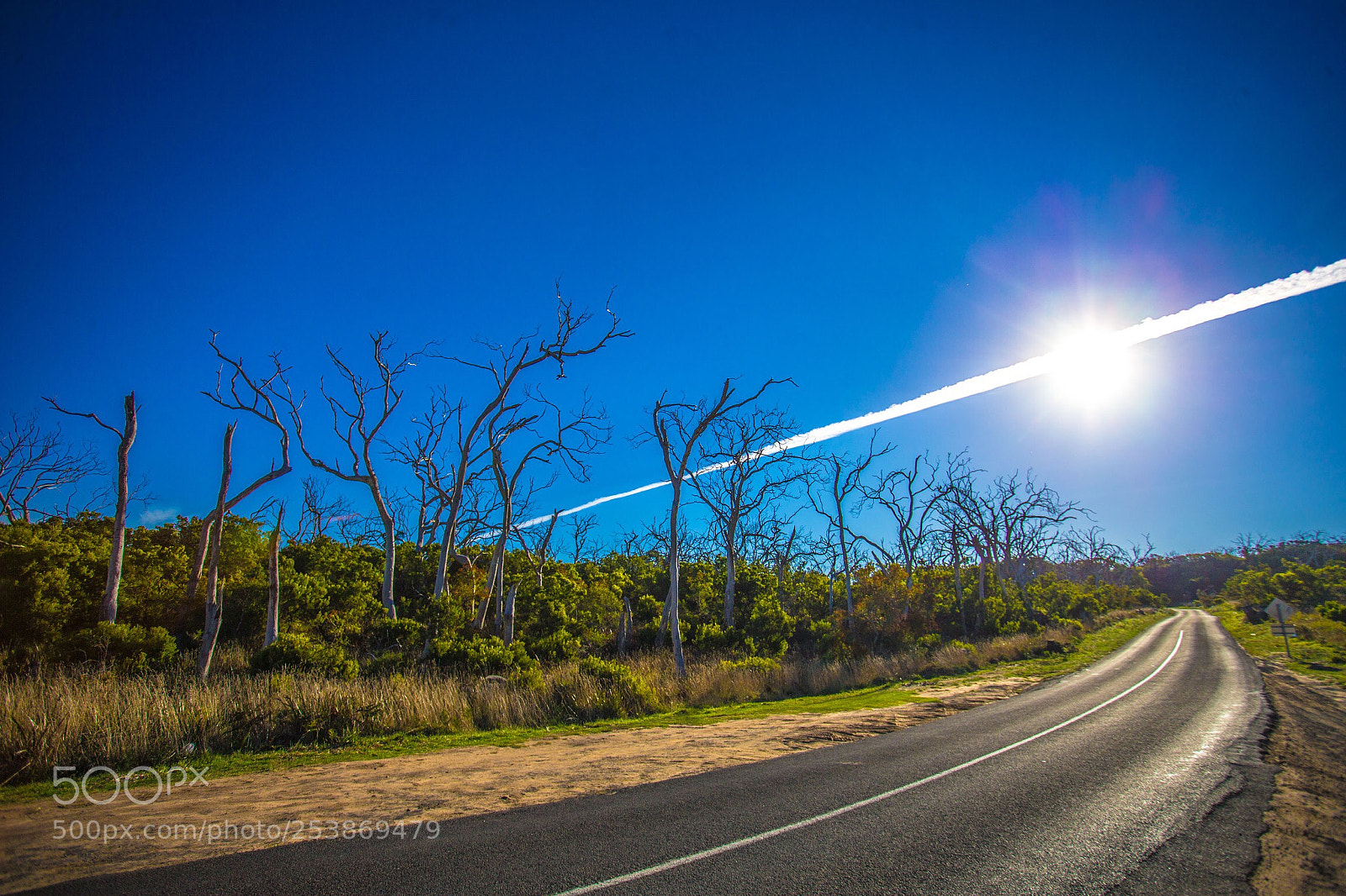Canon EOS-1D X sample photo. Arrow sun photography