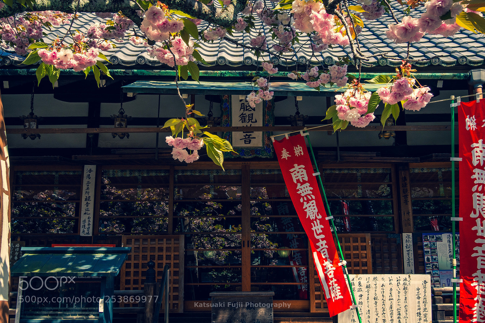 Olympus OM-D E-M10 sample photo. Jyuntei kanzeon bosatsu photography