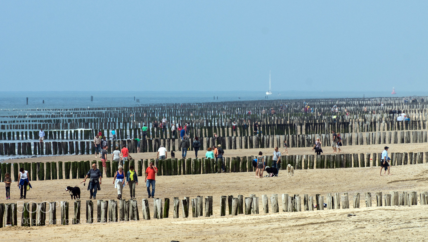Sony SLT-A77 sample photo. Coastal protection photography