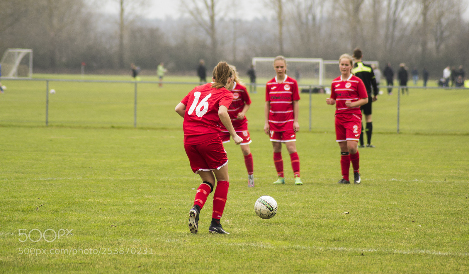Nikon D3100 sample photo. Bsf5 photography