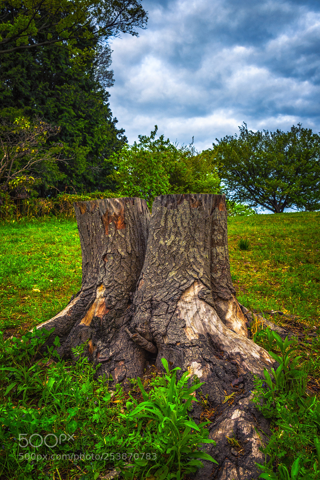 Nikon D610 sample photo. Untitled photography