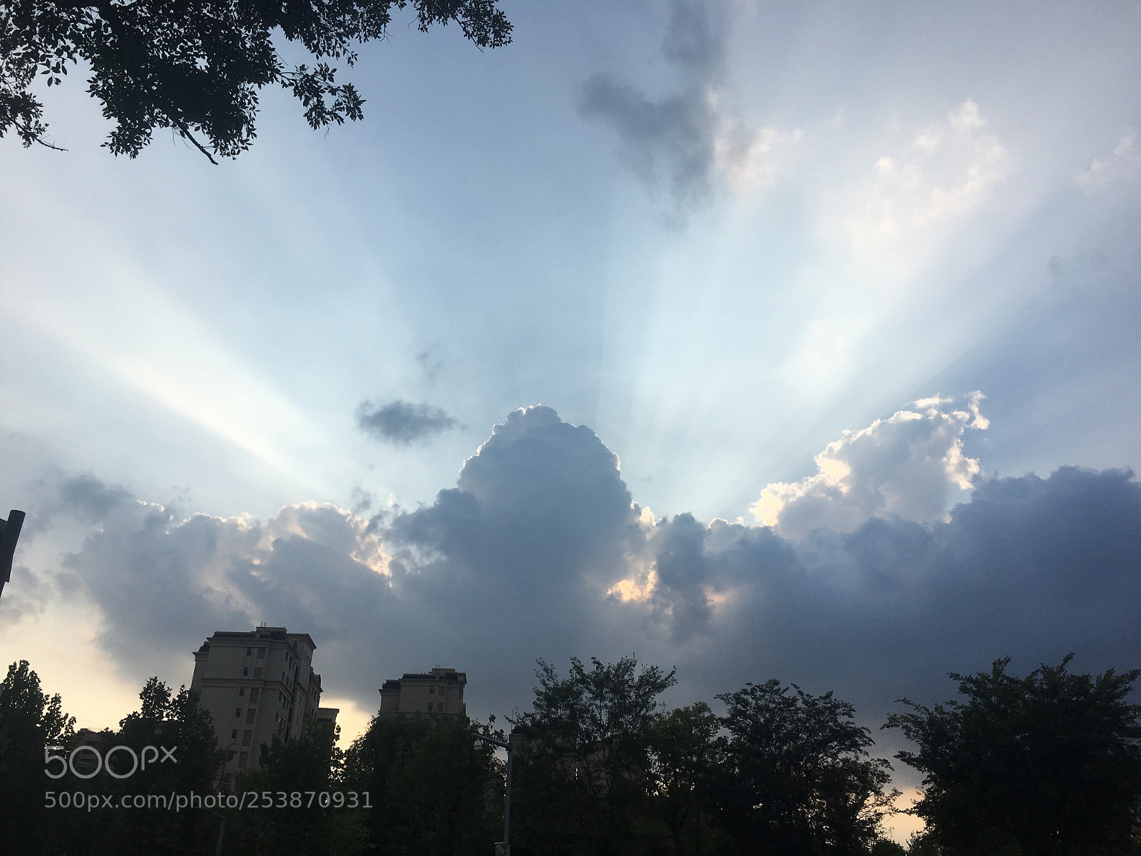 Apple iPhone 6s Plus sample photo. Untitled photography