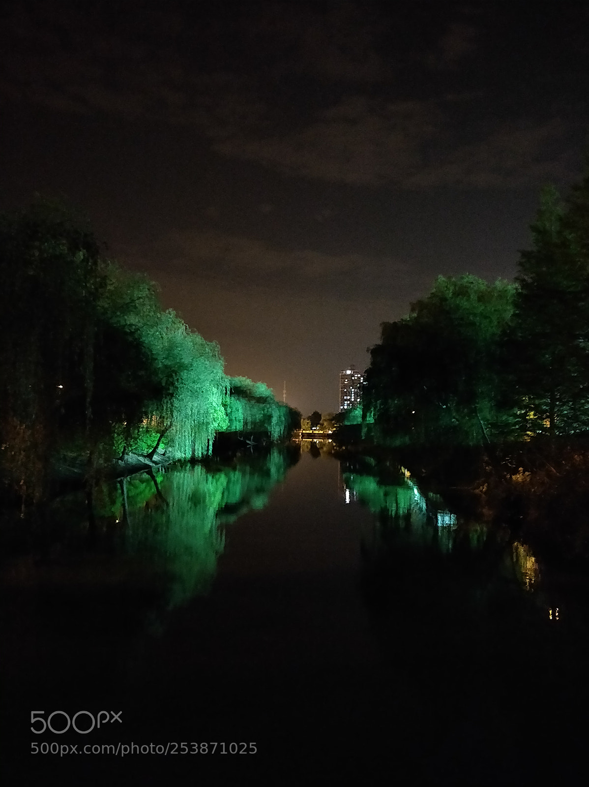 OnePlus 5T sample photo. Untitled photography