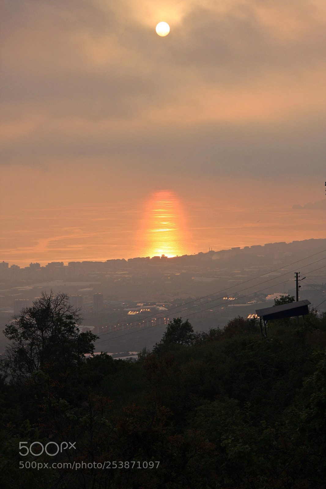 Canon EOS 40D sample photo. Untitled photography