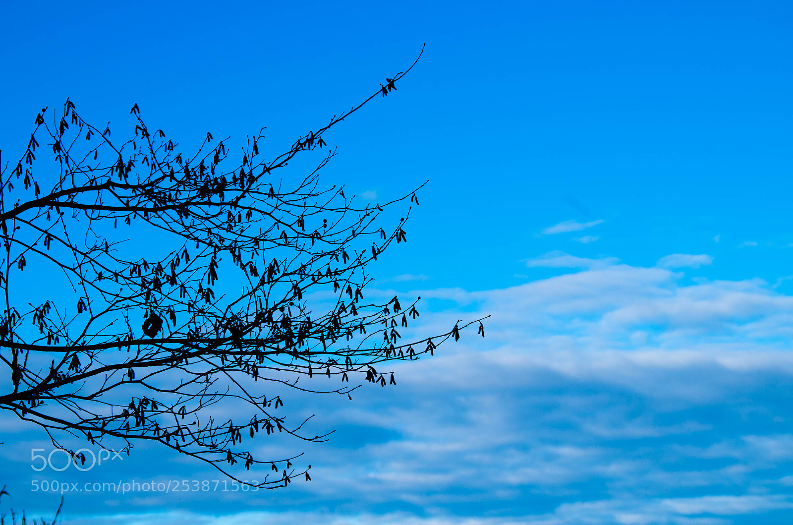 Pentax K-50 sample photo. Nº5 breathe photography