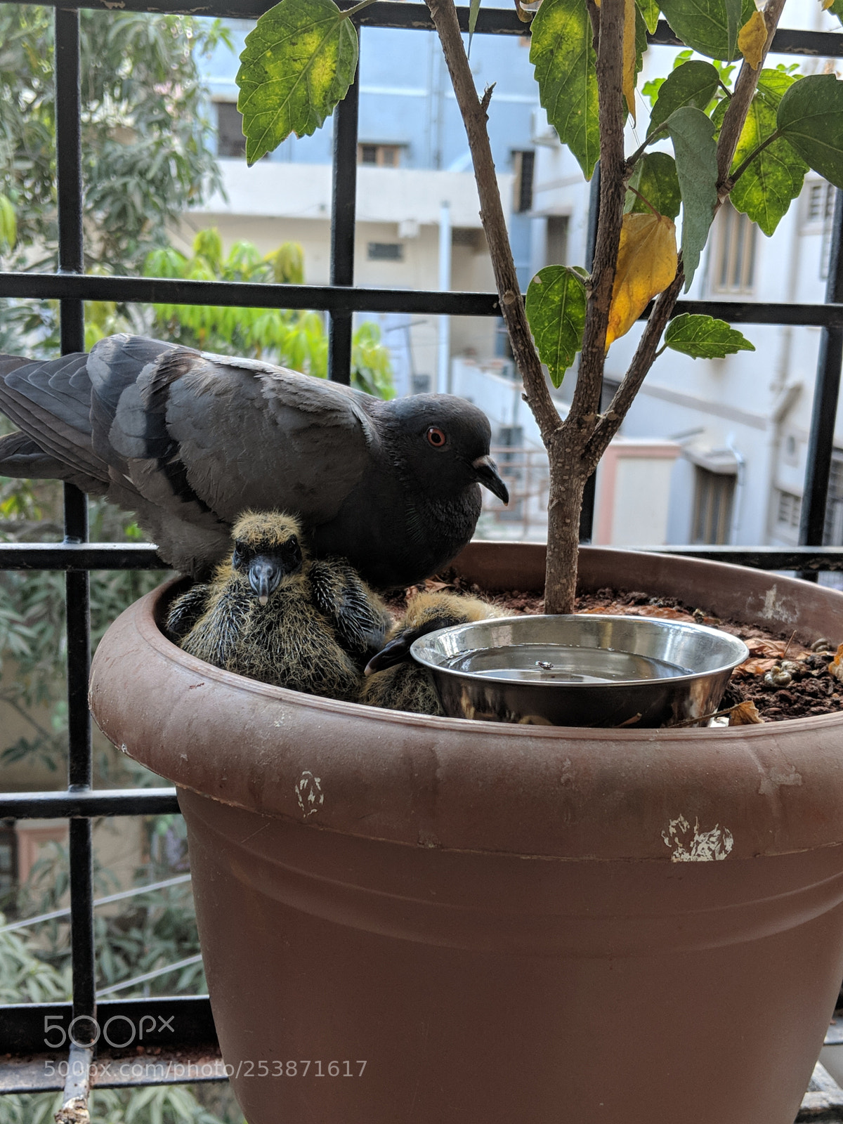 Google Pixel 2 sample photo. Untitled photography