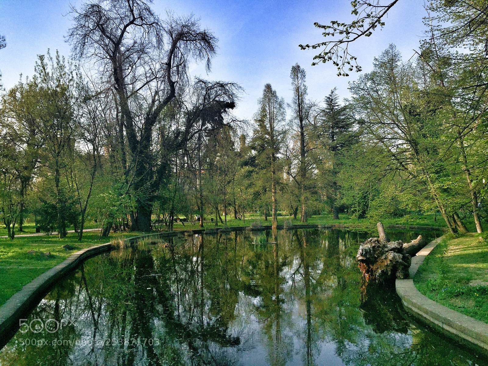 Apple iPhone 6 sample photo. The nature photography