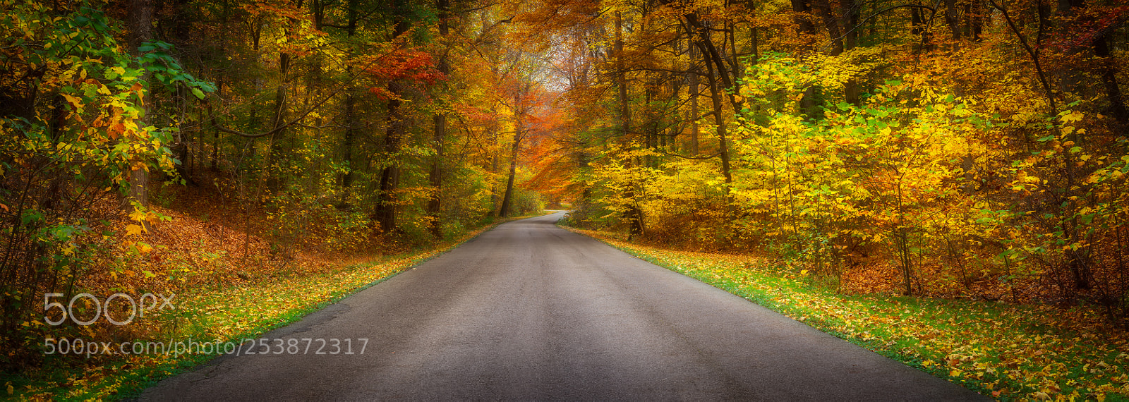 Sony a7R sample photo. The entrance photography