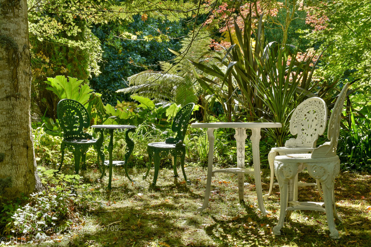 Nikon D5600 sample photo. After the mad hatter photography