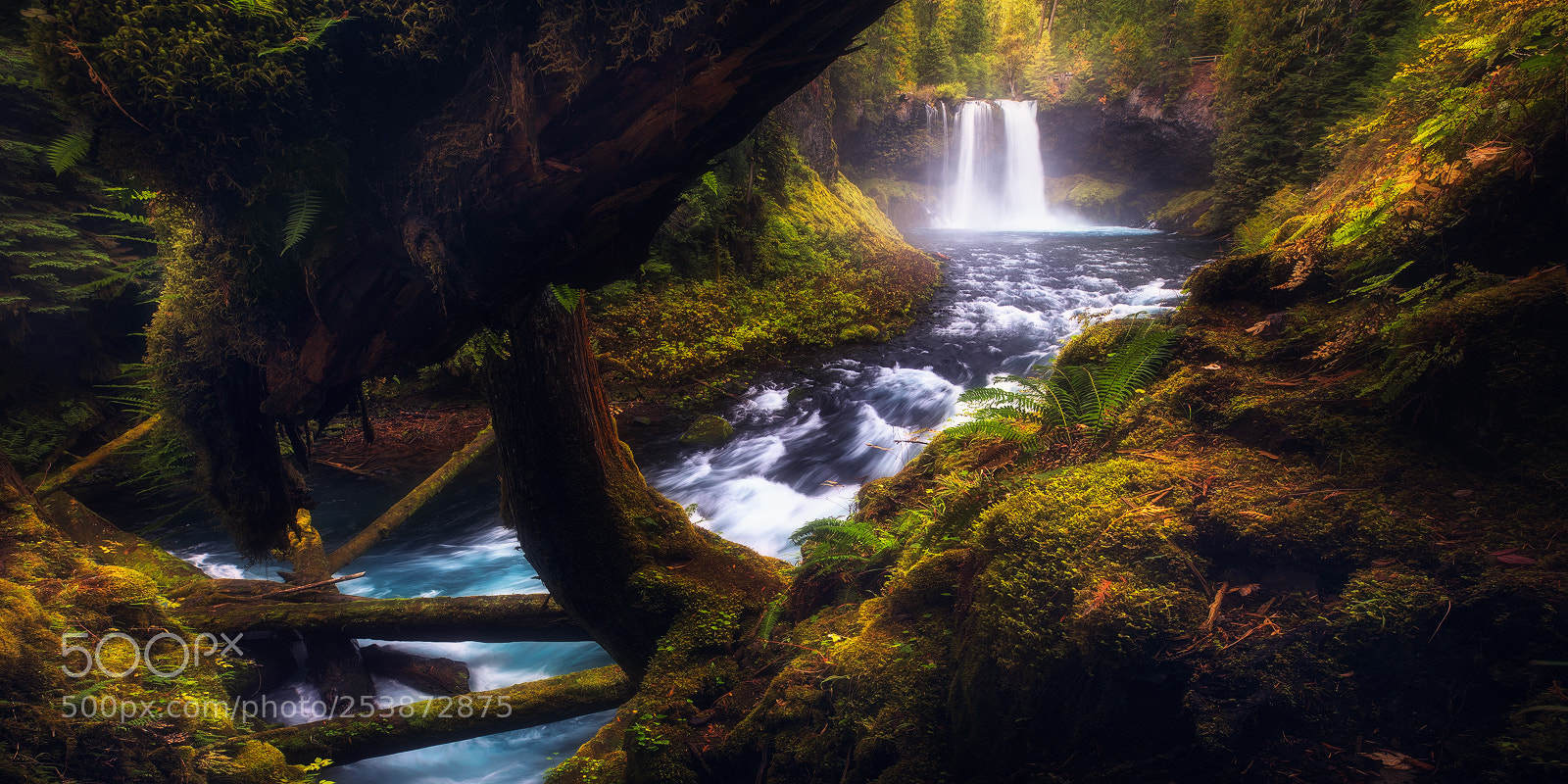 Canon EOS 5D Mark IV sample photo. Koosah falls panorama photography