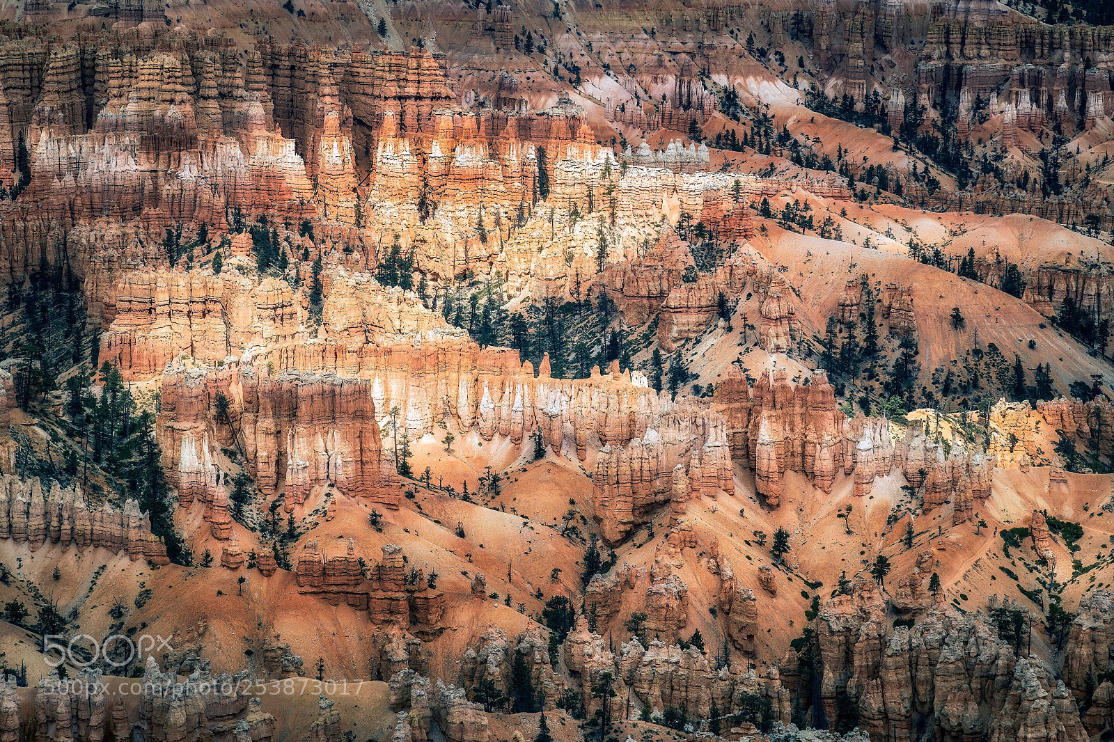 Nikon D850 sample photo. Bryce point amphitheater, bryce photography