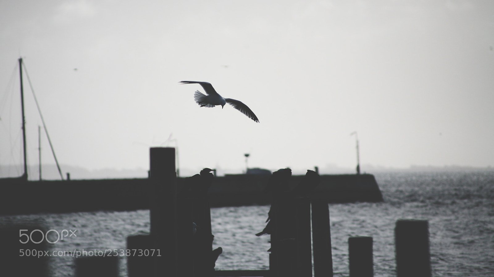 Canon EOS 5D sample photo. This is not black photography