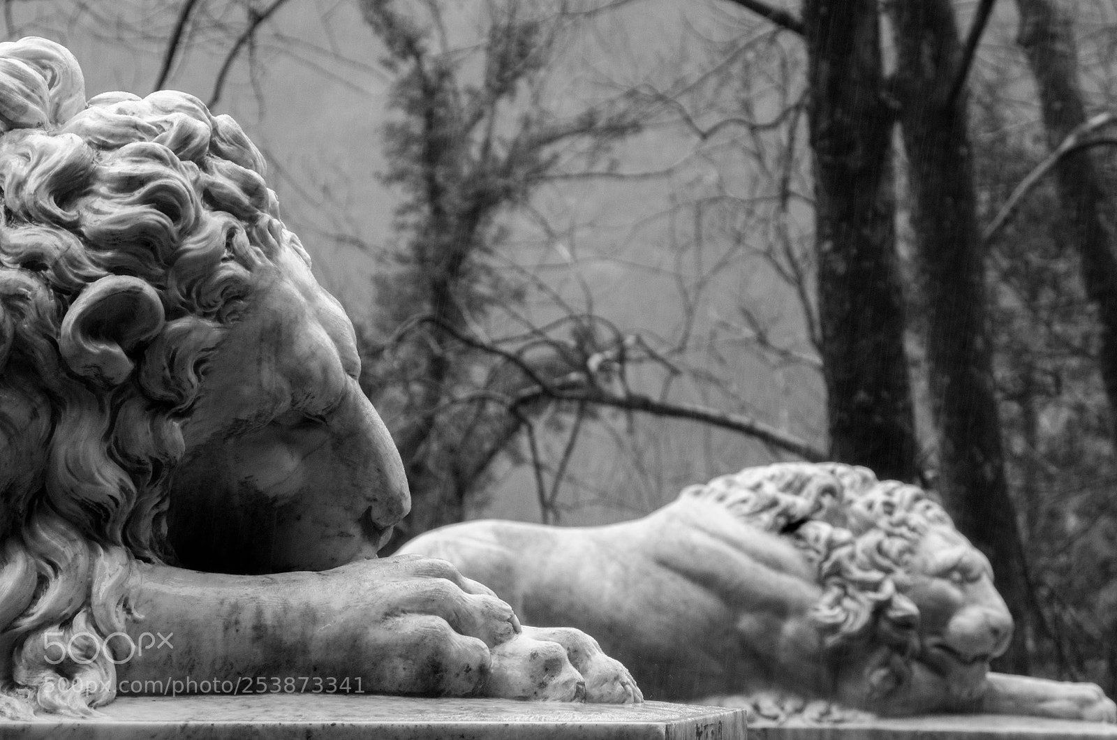 Pentax K-50 sample photo. Nº11 be strong photography
