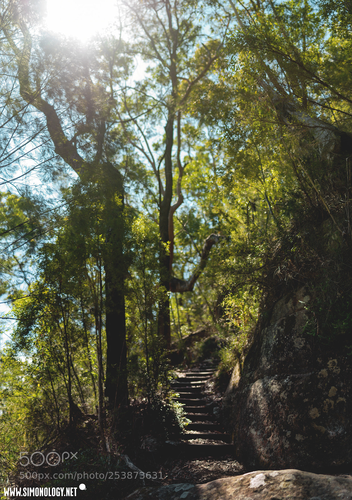 Nikon D800E sample photo. Great north walk stairs photography