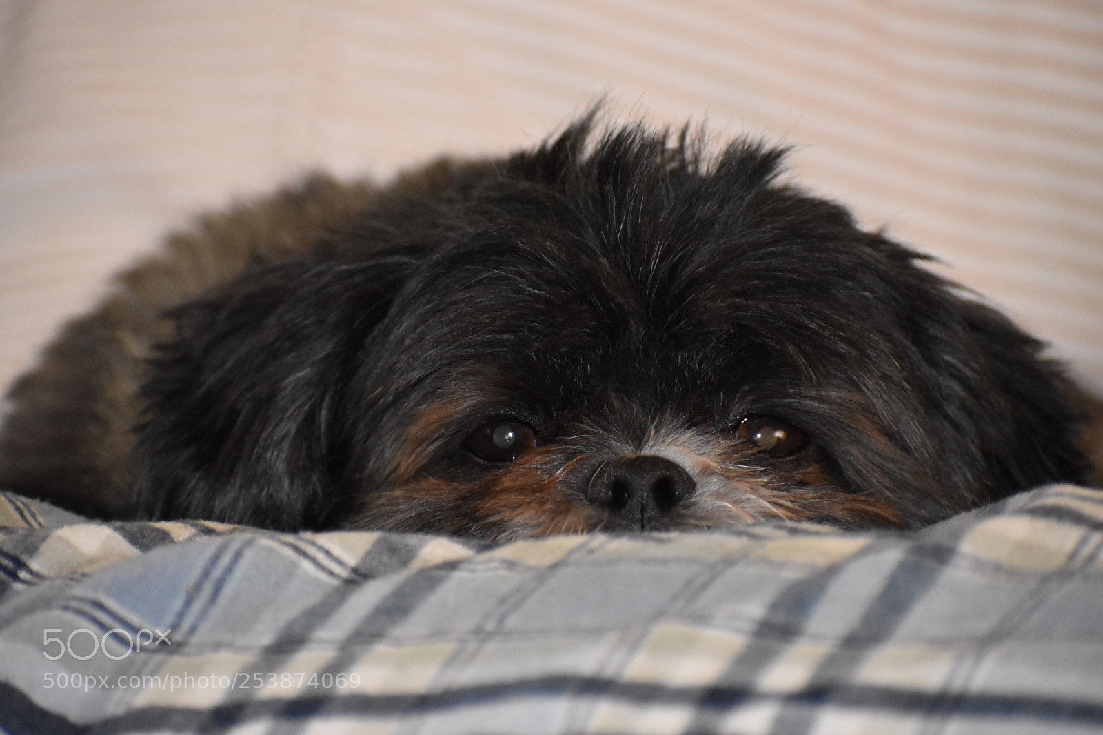 Nikon D3400 sample photo. Here s looking at photography