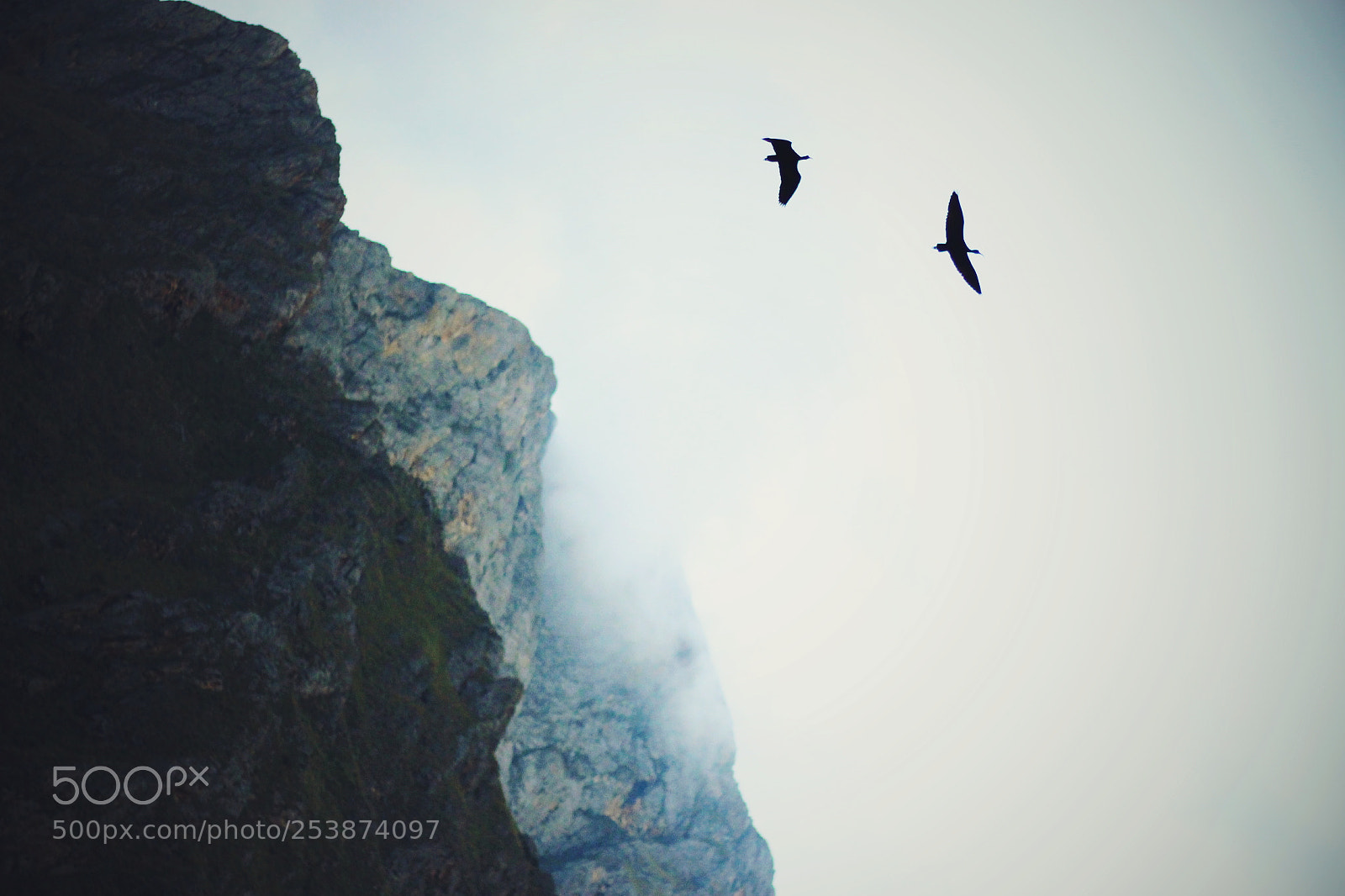 Canon EOS 700D (EOS Rebel T5i / EOS Kiss X7i) sample photo. Birds in the sky photography