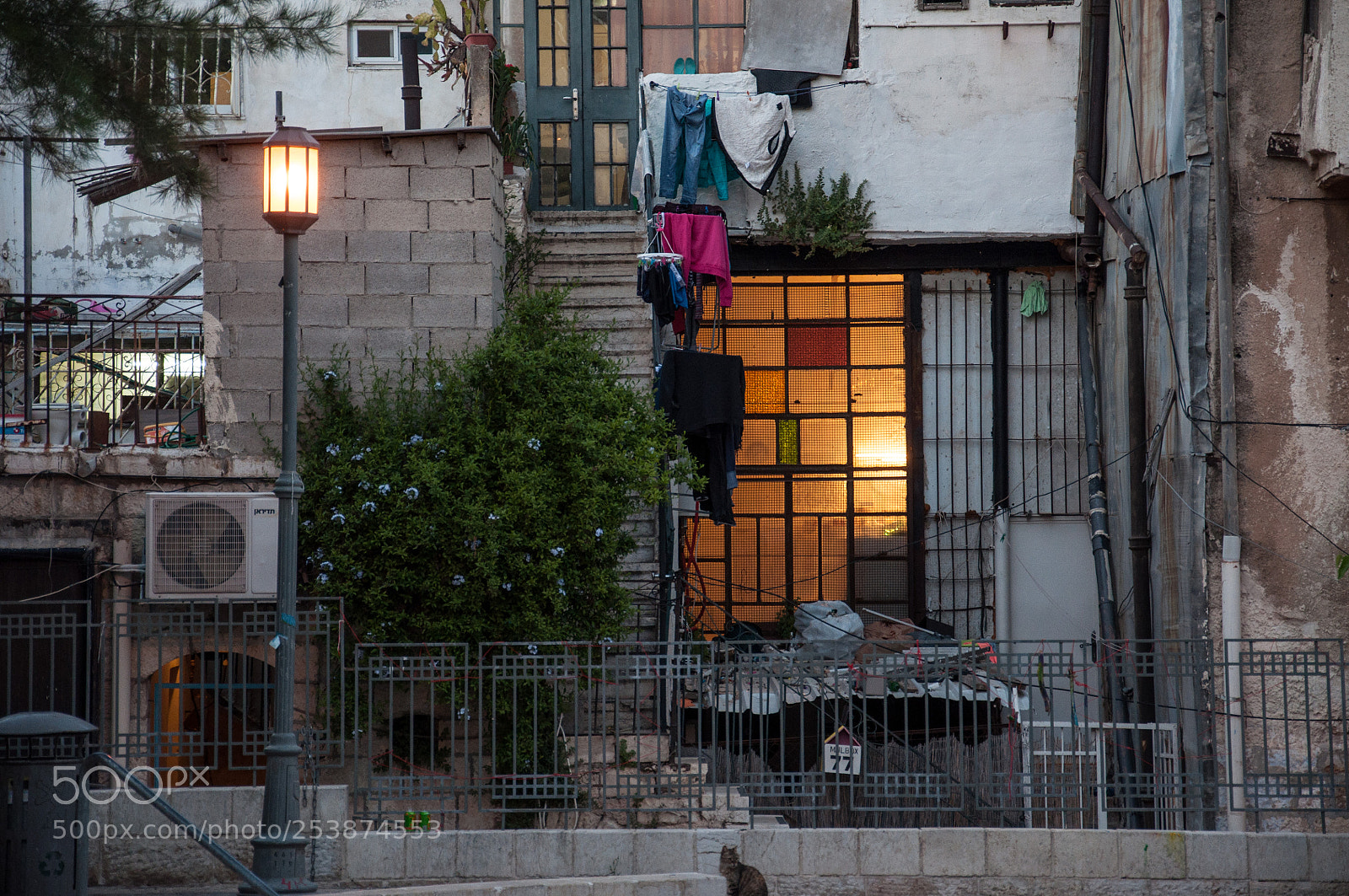 Nikon D5000 sample photo. Laundry day photography