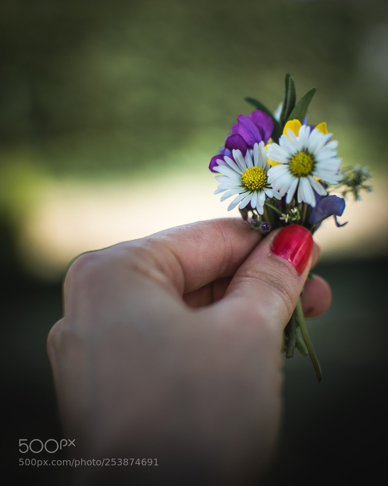 Nikon D5600 sample photo. Flowers photography