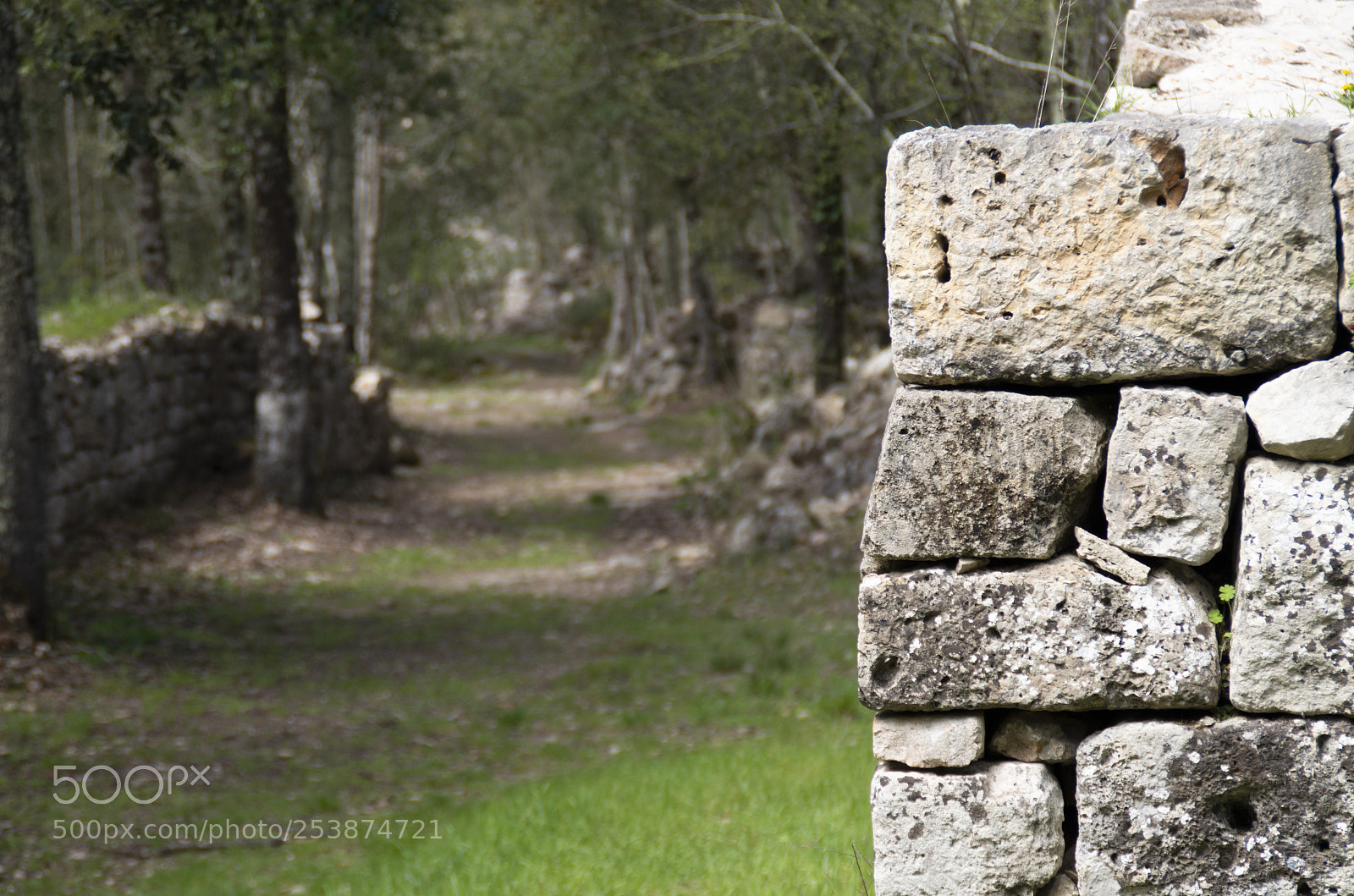 Pentax K-30 sample photo. La strada di castelvecchio photography