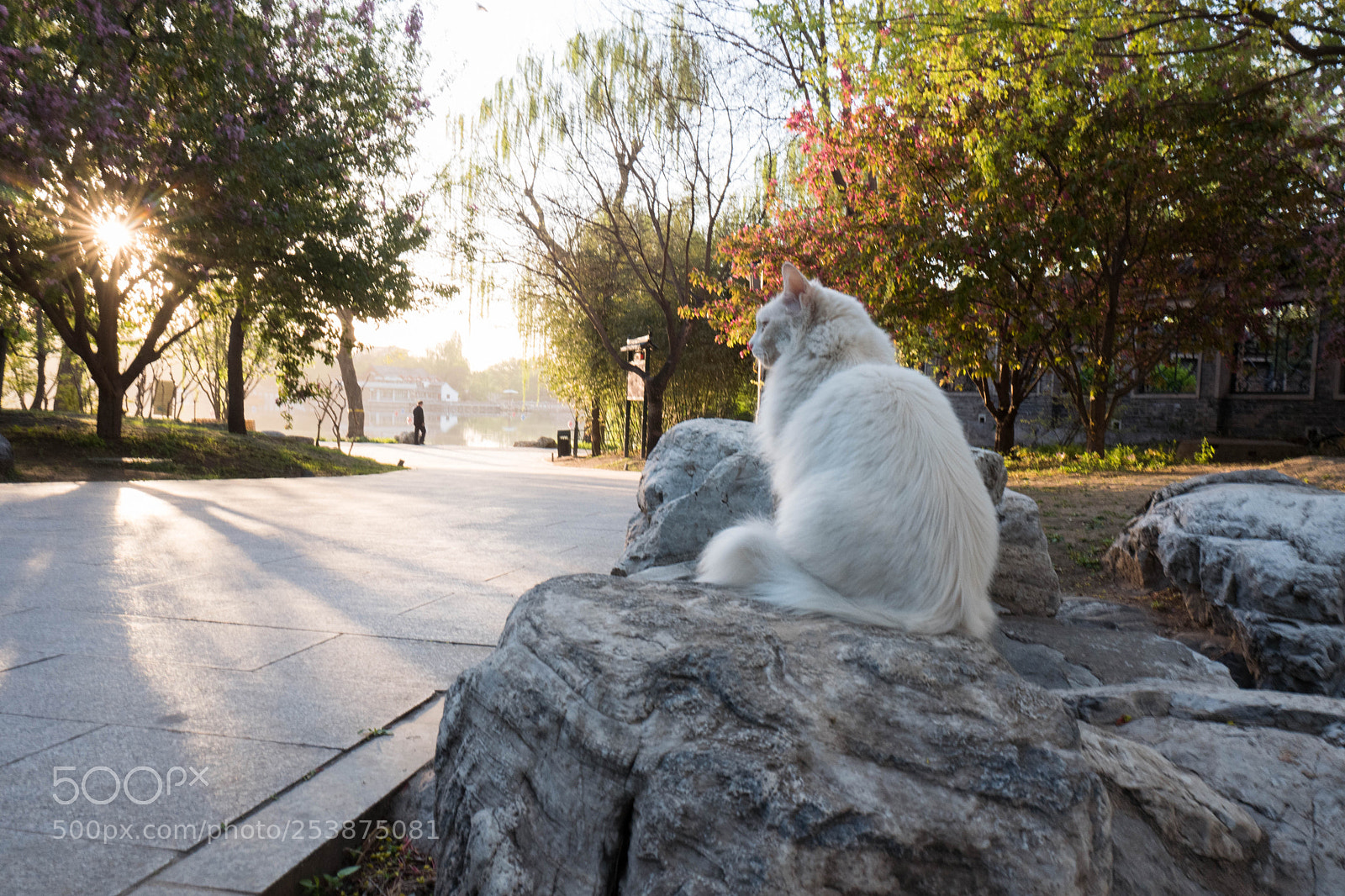 Leica Q (Typ 116) sample photo. L photography