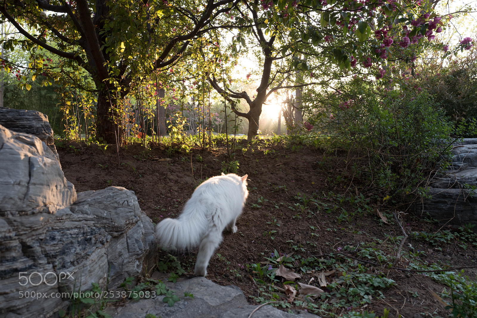 Leica Q (Typ 116) sample photo. L photography