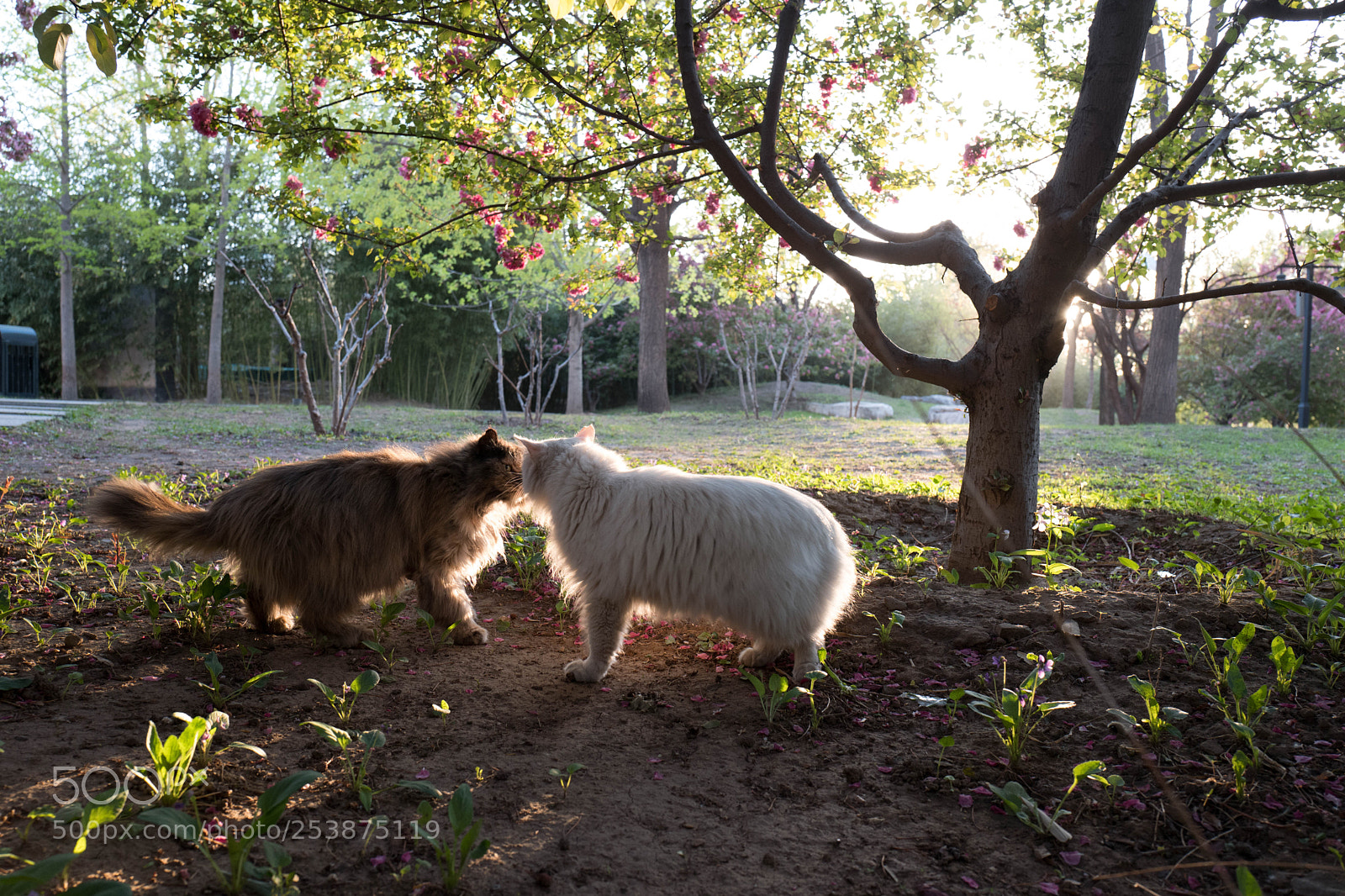 Leica Q (Typ 116) sample photo. L photography