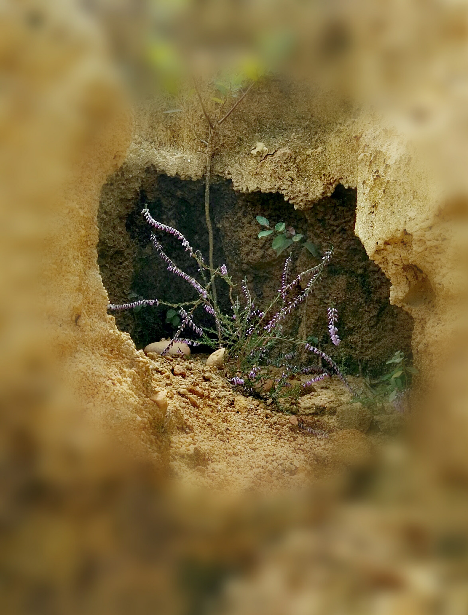 HUAWEI GX8 sample photo. Cavern photography