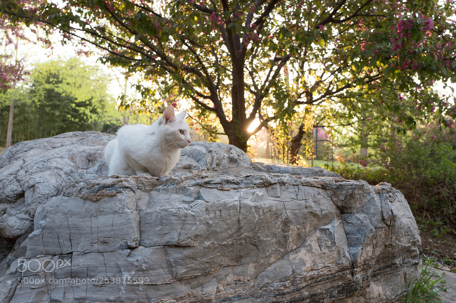 Leica Q (Typ 116) sample photo. L photography