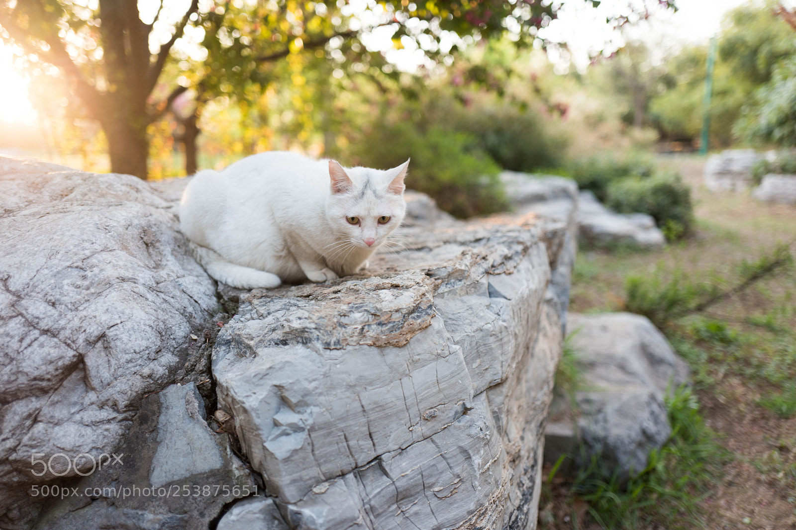 Leica Q (Typ 116) sample photo. L photography