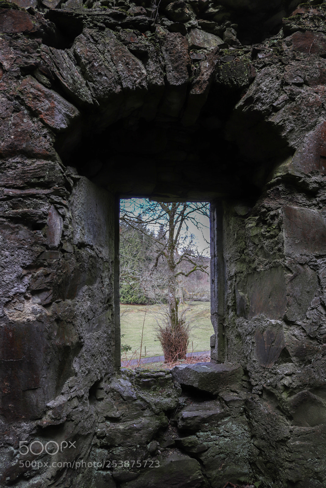 Canon EOS 77D (EOS 9000D / EOS 770D) sample photo. Ruine window photography