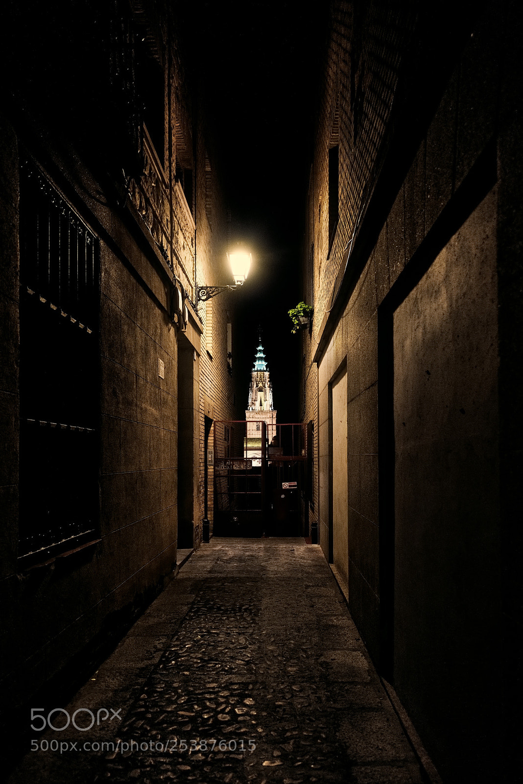 Nikon D810 sample photo. La sombra no existe photography
