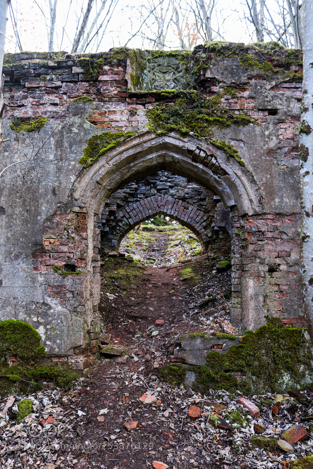 Canon EOS 77D (EOS 9000D / EOS 770D) sample photo. Ruin door photography