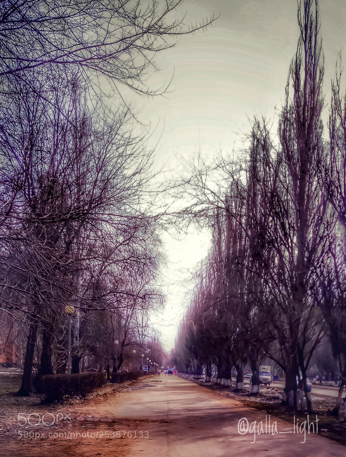 Samsung Galaxy S8+ sample photo. Untitled photography