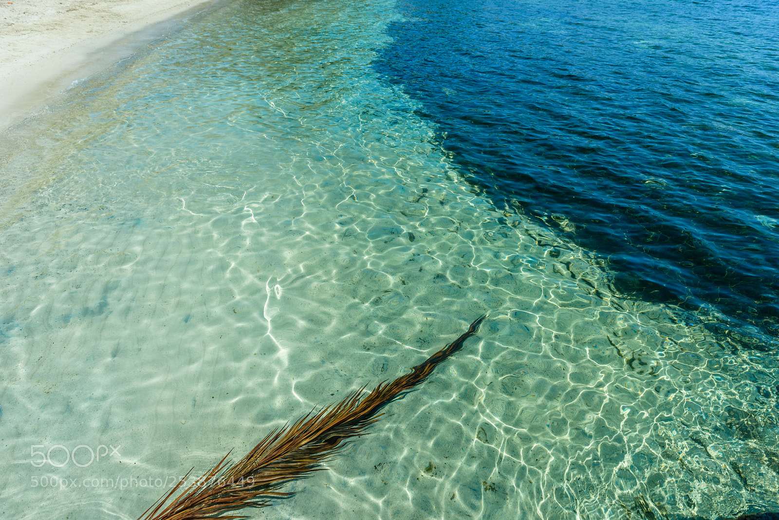Nikon D810 sample photo. Clear beach waters mallorca photography