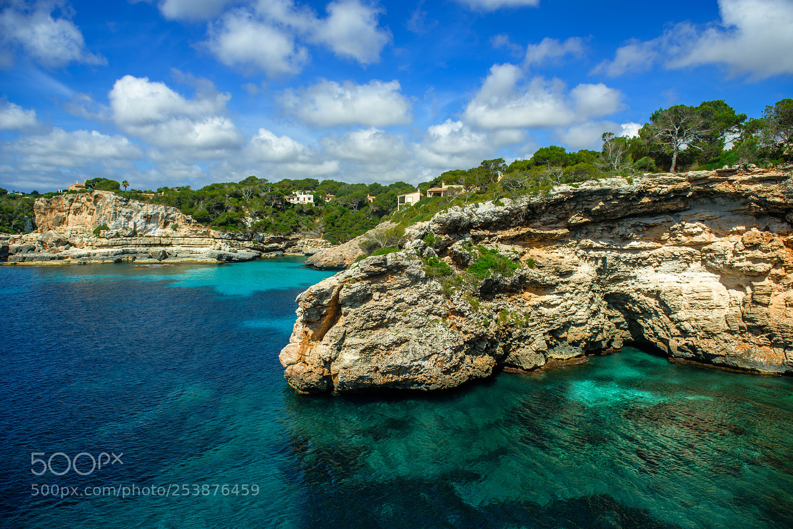 Nikon D810 sample photo. Clear waters jutting rocks photography