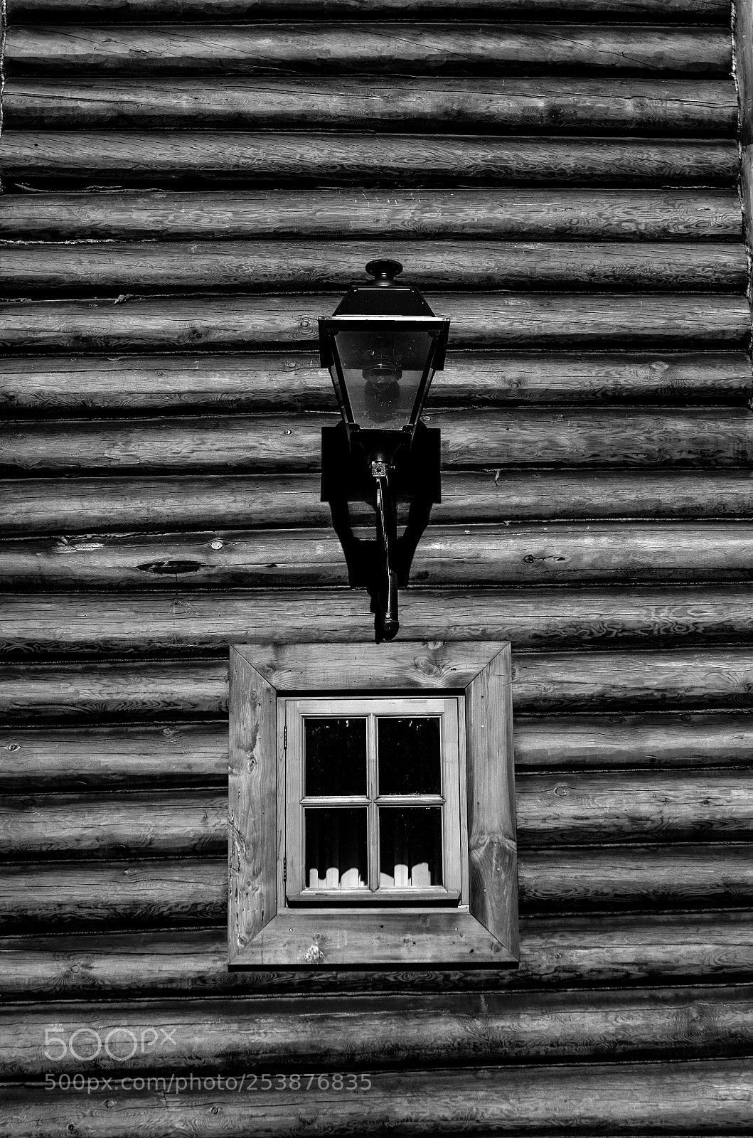 Nikon D7000 sample photo. Untitled photography