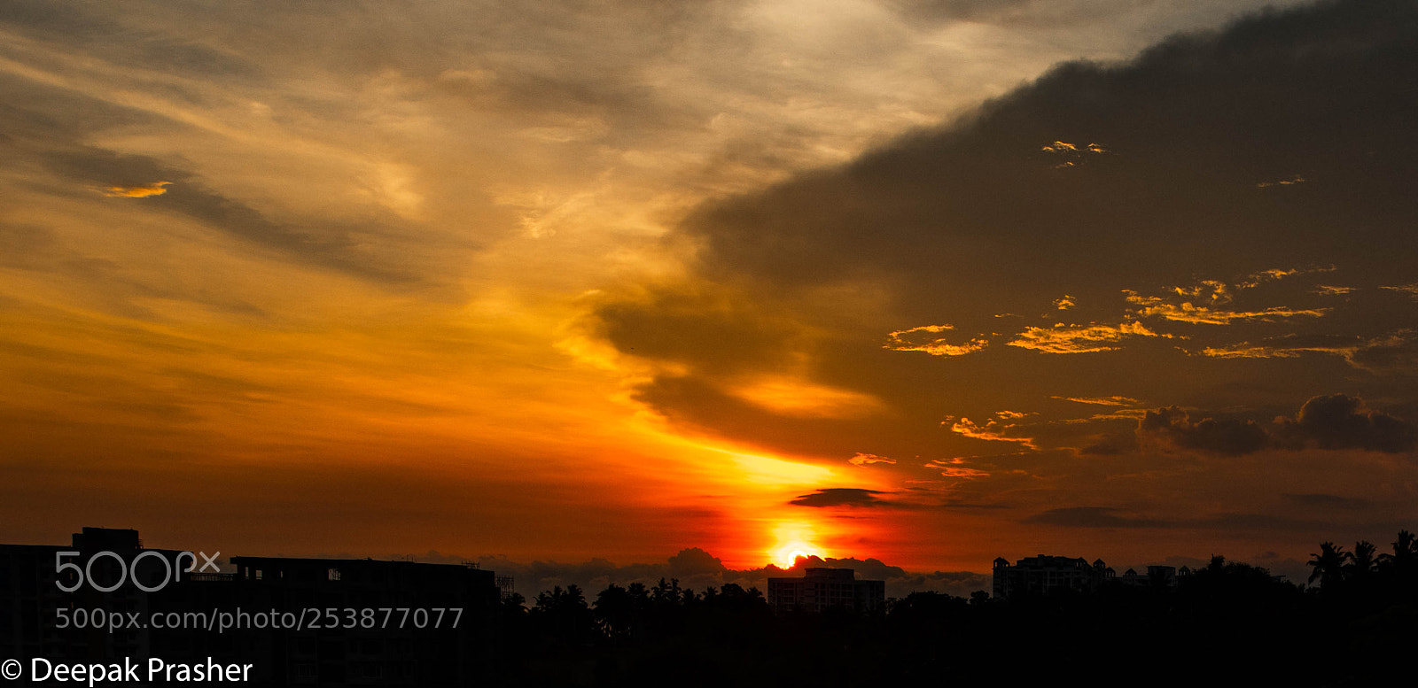 Nikon D850 sample photo. Leaving hue photography