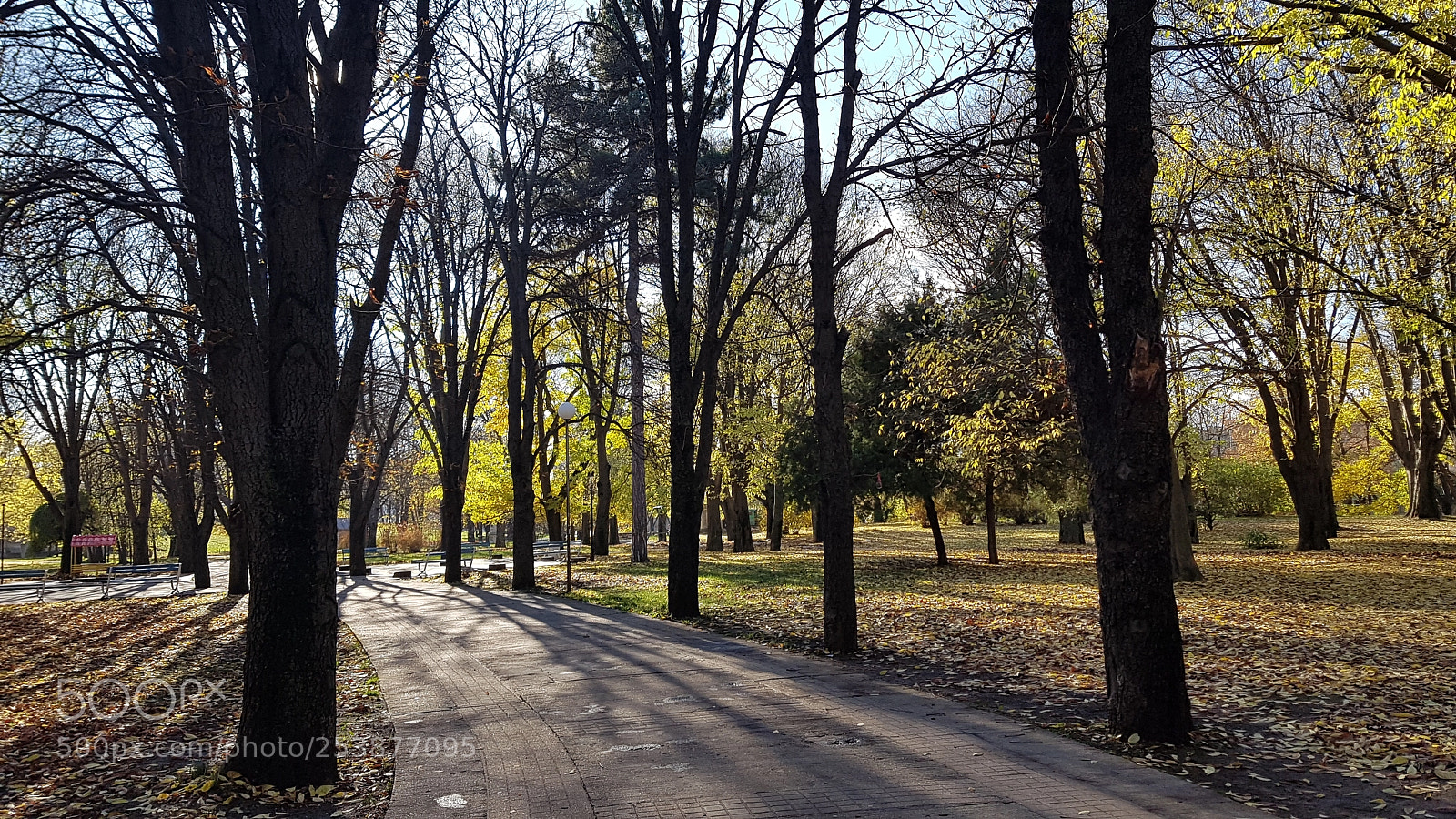 Samsung Galaxy S7 sample photo. Park photography