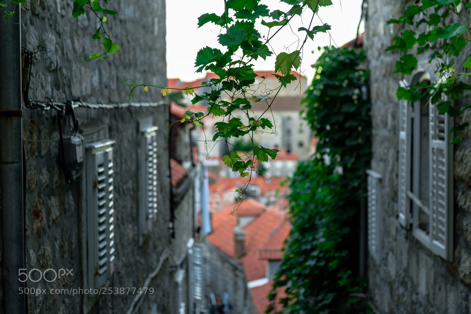 Nikon D810 sample photo. Dubrovnik red rooftops narrow photography