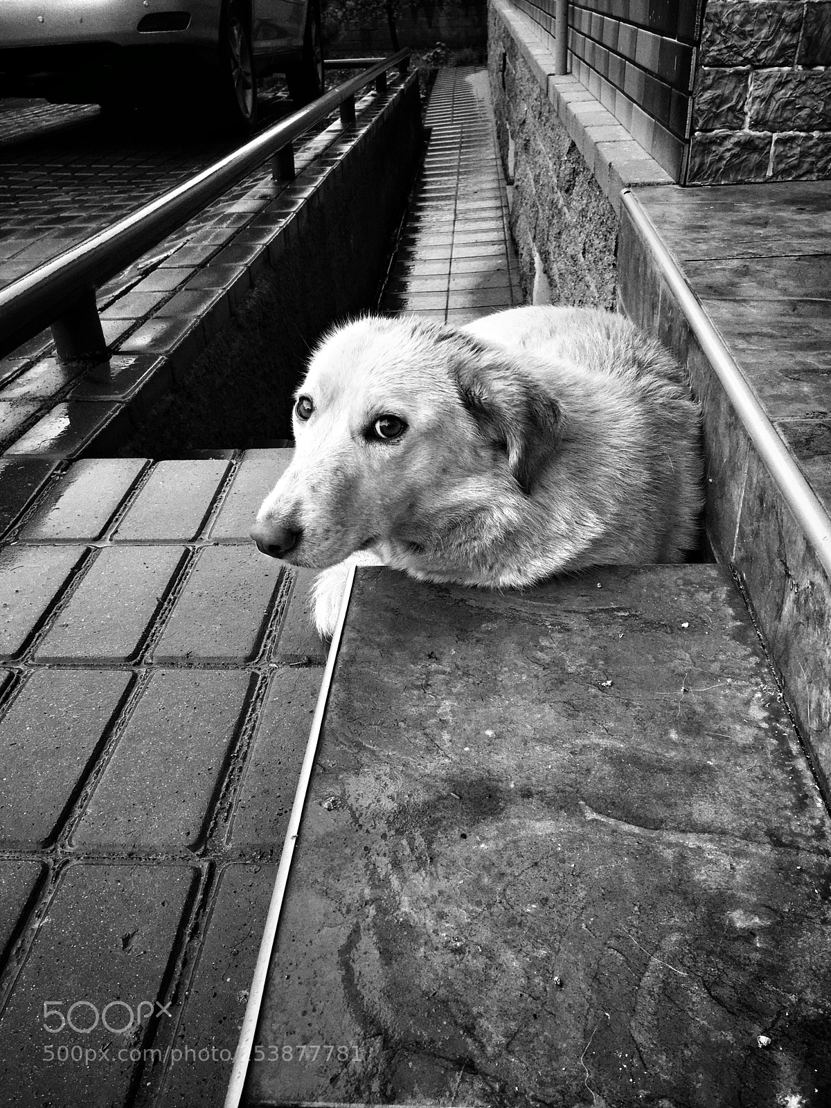 Apple iPhone 6s sample photo. Rain photography