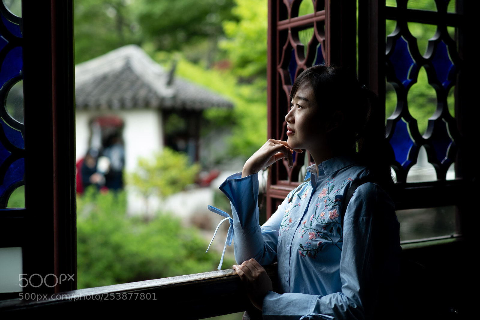 Nikon D5 sample photo. Untitled photography