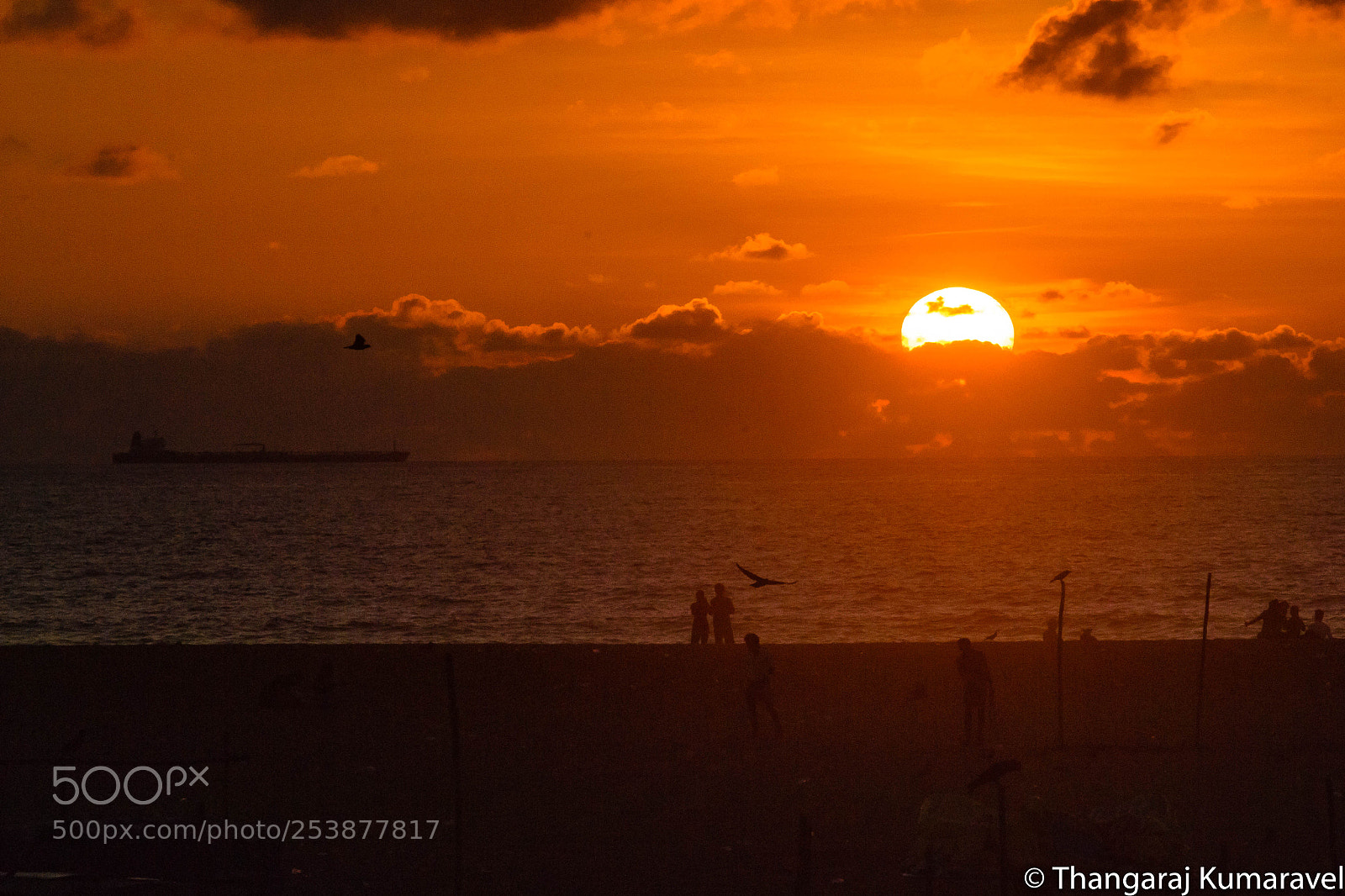 Nikon D3100 sample photo. Sunrise at marina photography