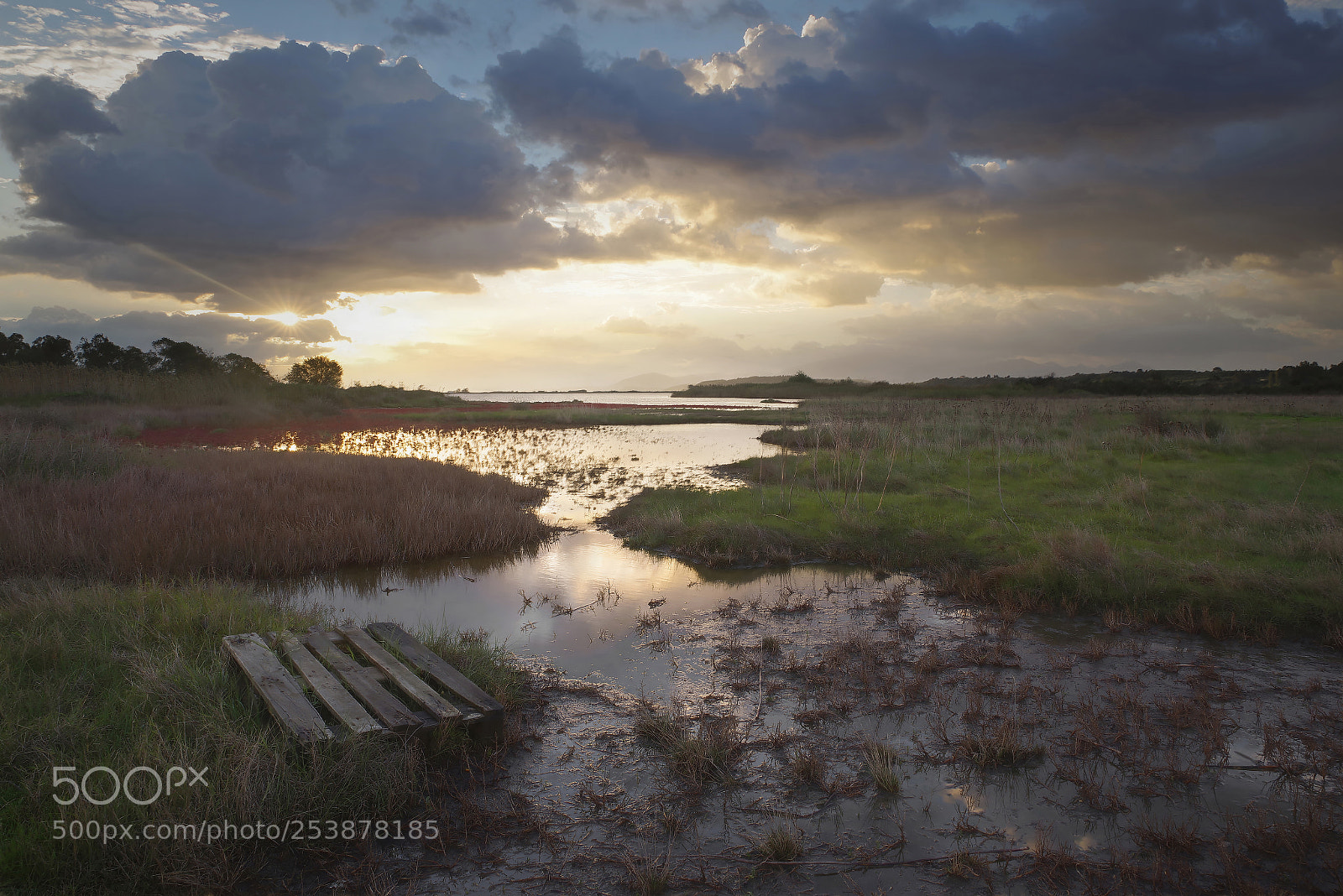 Pentax K-1 sample photo. Swamp sunrise photography