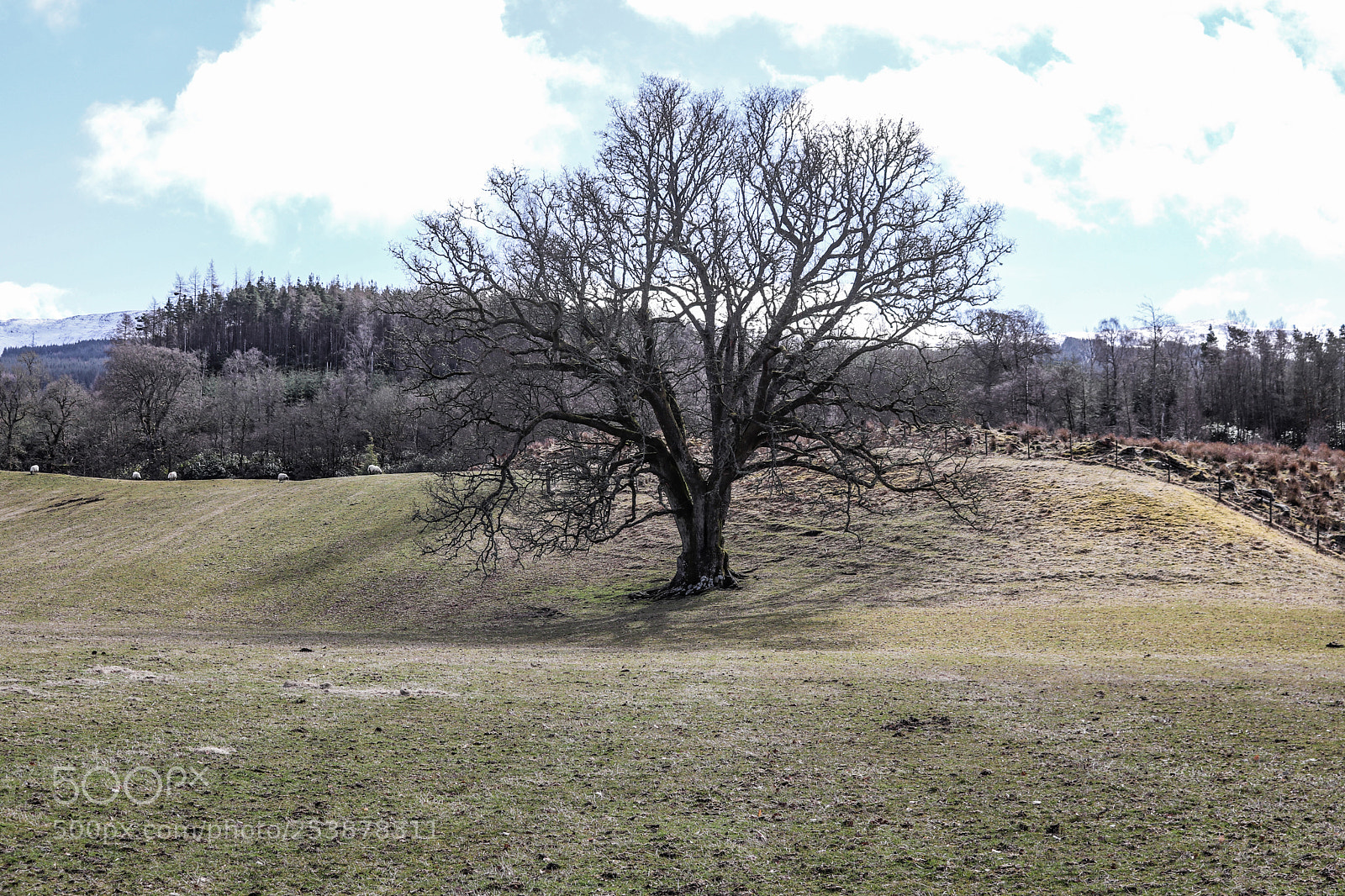 Canon EOS 77D (EOS 9000D / EOS 770D) sample photo. Img photography