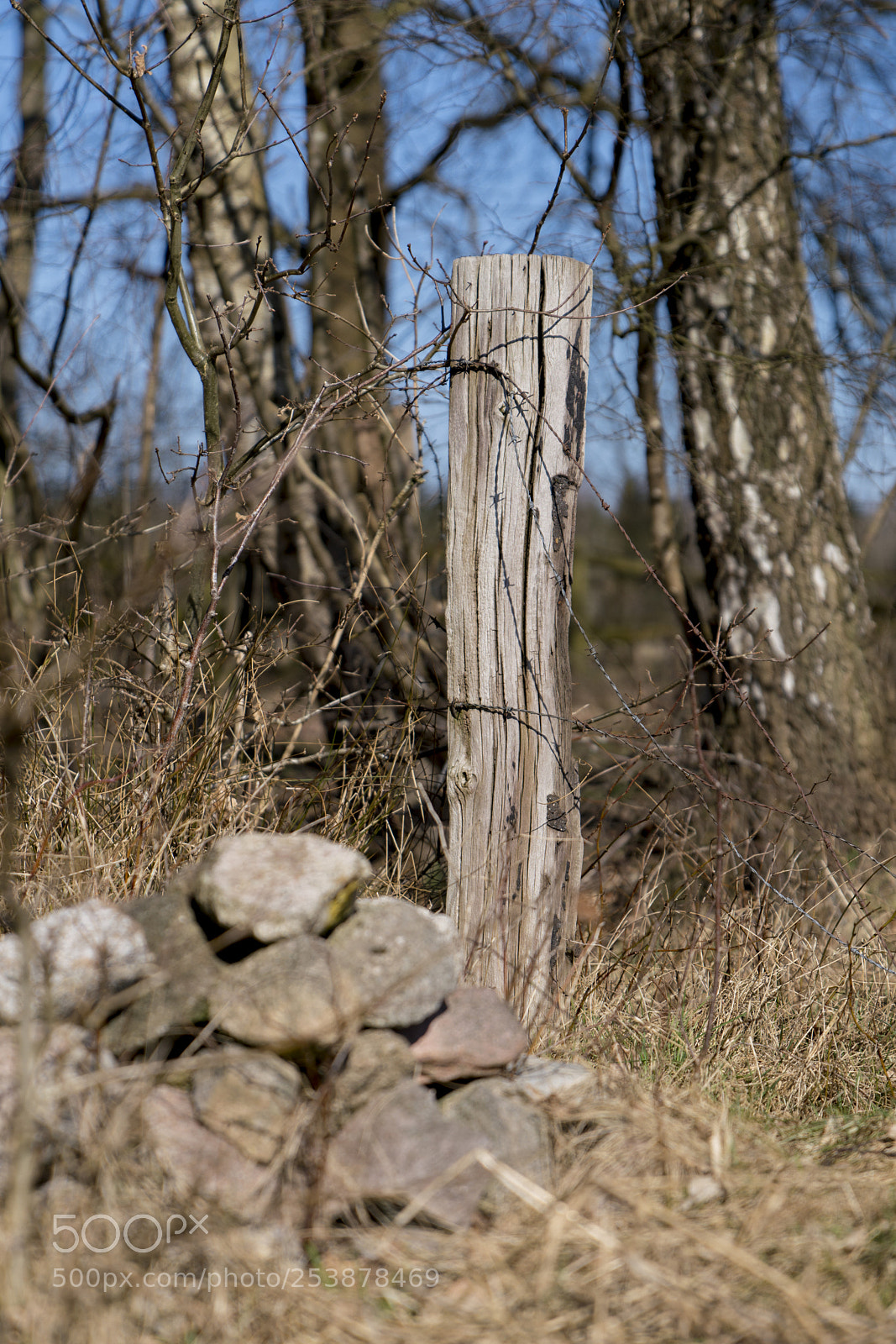 Sony a7R III sample photo. Old fencing post photography