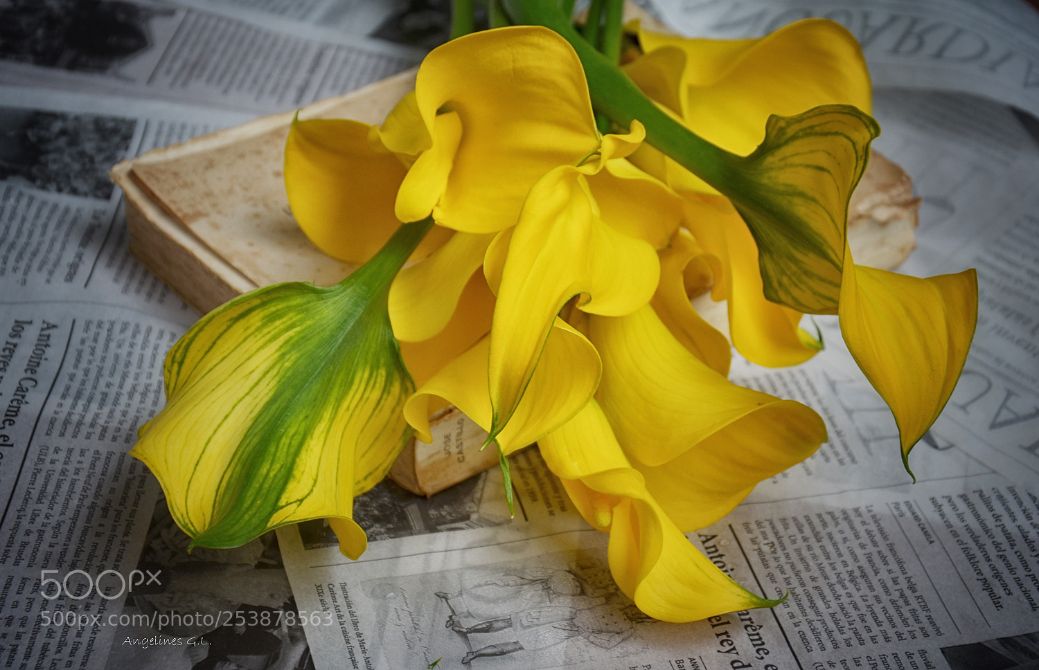 Nikon D5100 sample photo. Un ramito de calas photography