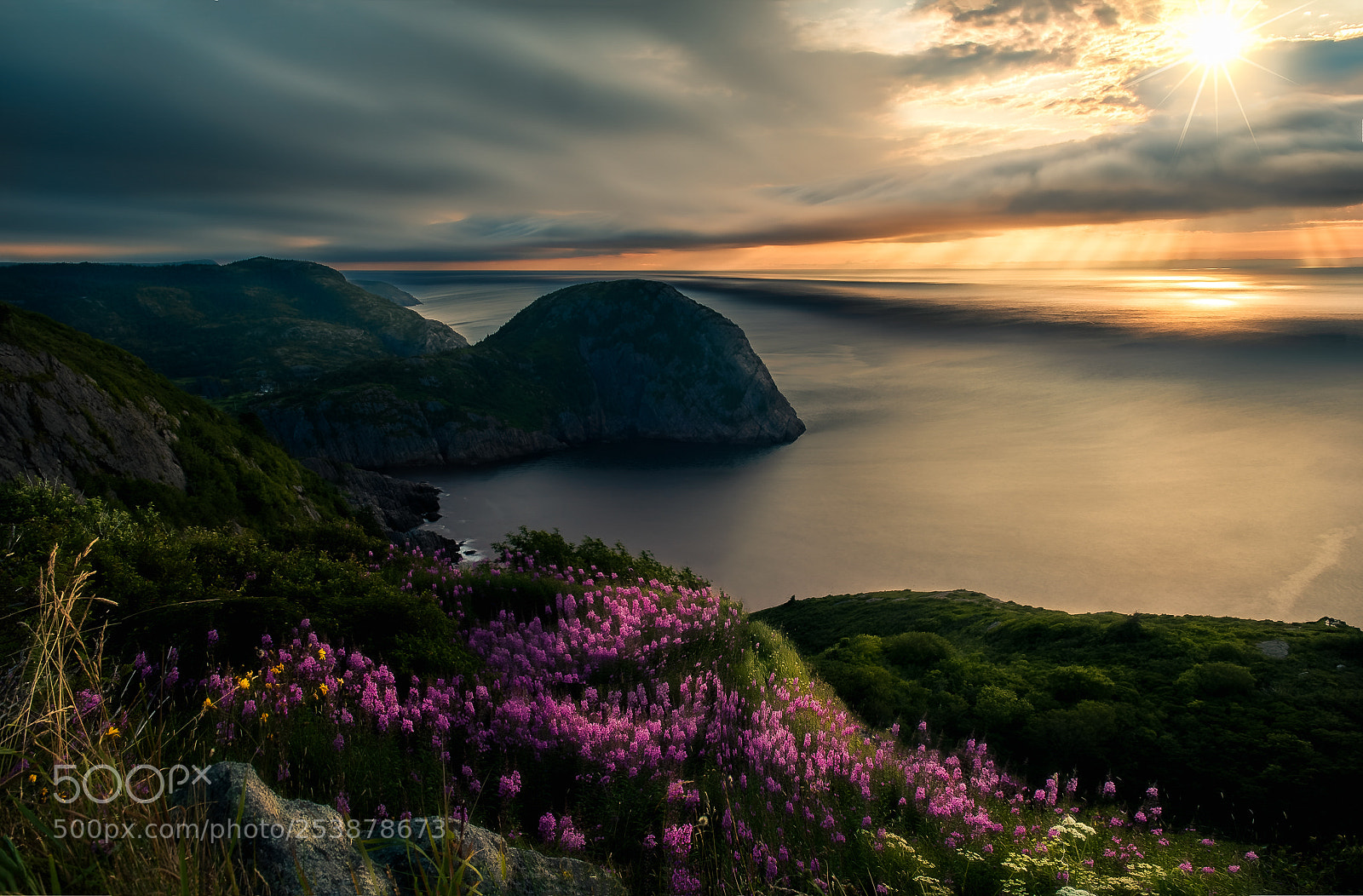 Nikon D810 sample photo. Cuckolds cove sunrise photography