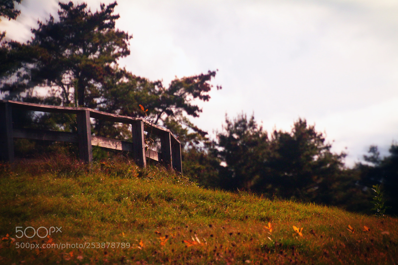 Canon EOS 7D sample photo. Fence of course photography